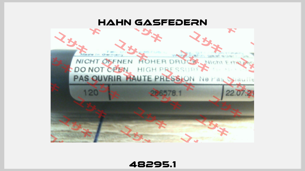 48295.1 Hahn Gasfedern