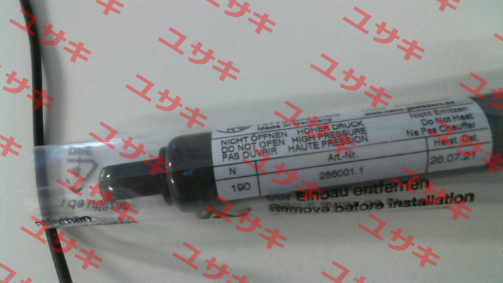 G10-23ST-38901 Hahn Gasfedern