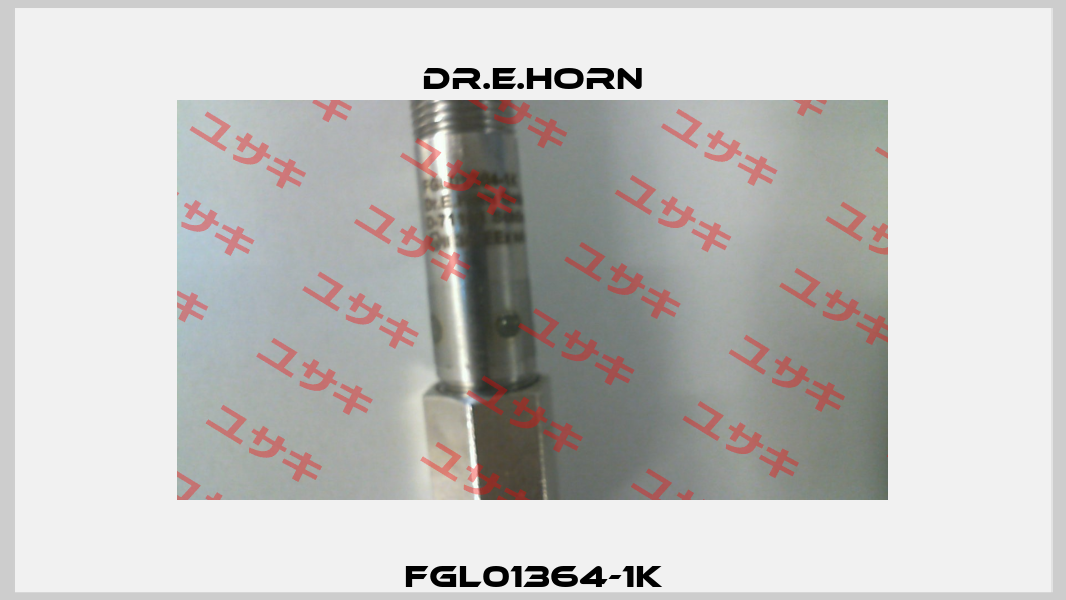 FGL01364-1K Dr.E.Horn