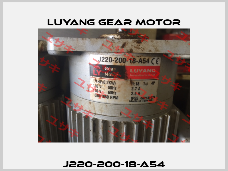 J220-200-18-A54 Luyang Gear Motor