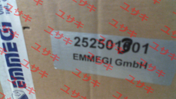 2024K 2pass (252501301) Emmegi
