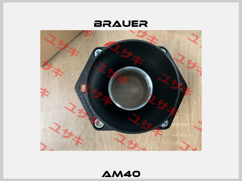 AM40 Brauer