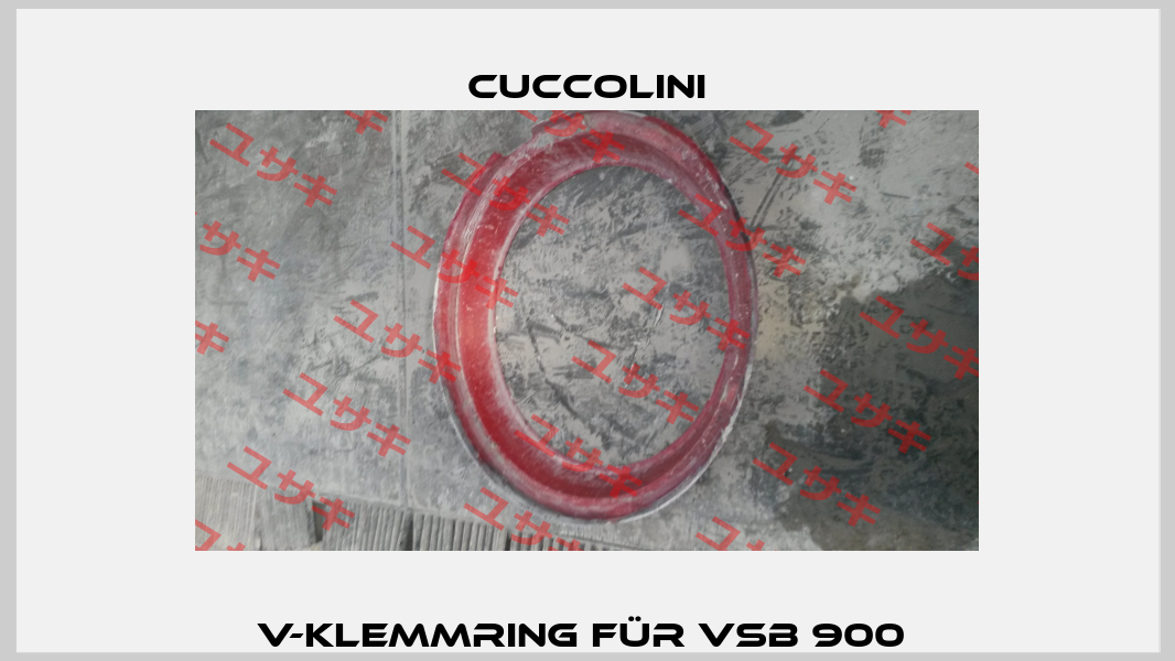 V-Klemmring für VSB 900  Cuccolini