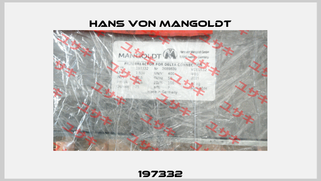 197332 Hans von Mangoldt