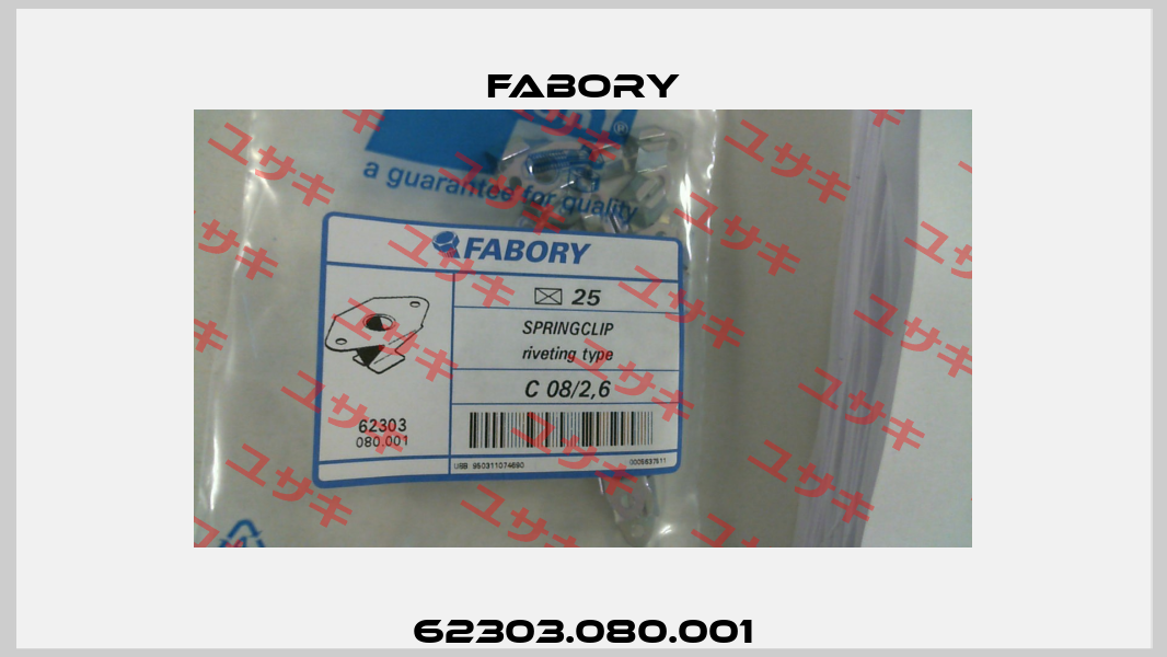 62303.080.001 Fabory