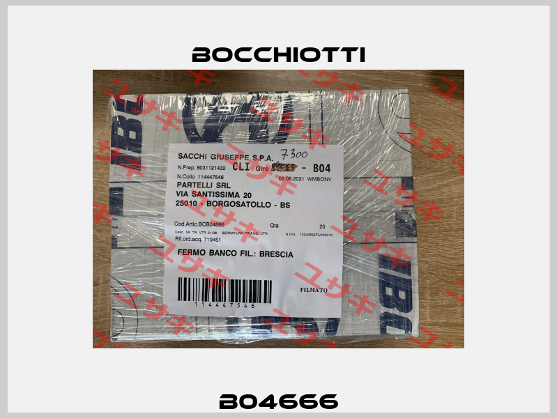 B04666 Bocchiotti