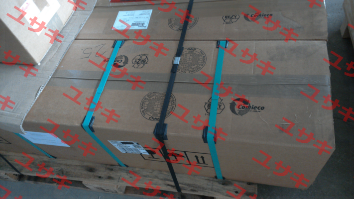 P 305 NV Pasquin