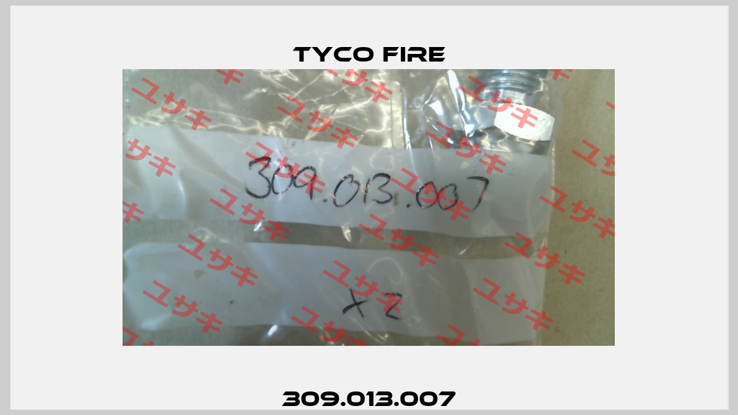 309.013.007 Tyco Fire