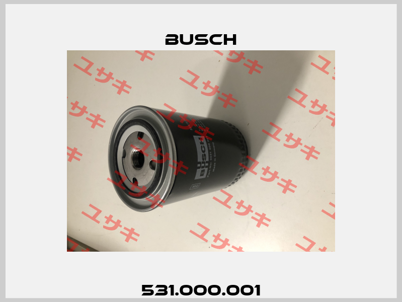 531.000.001 Busch