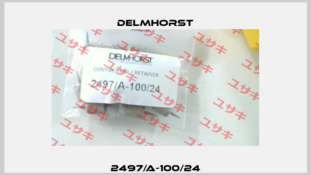 2497/A-100/24 Delmhorst