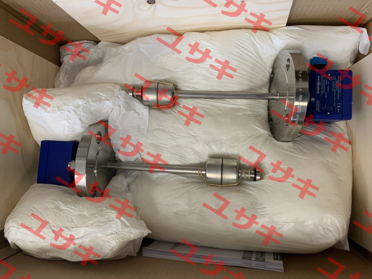 NMG125-AFV2"/150/RF-VK5/T32-L250/12-V44R-Ex Ksr Kuebler