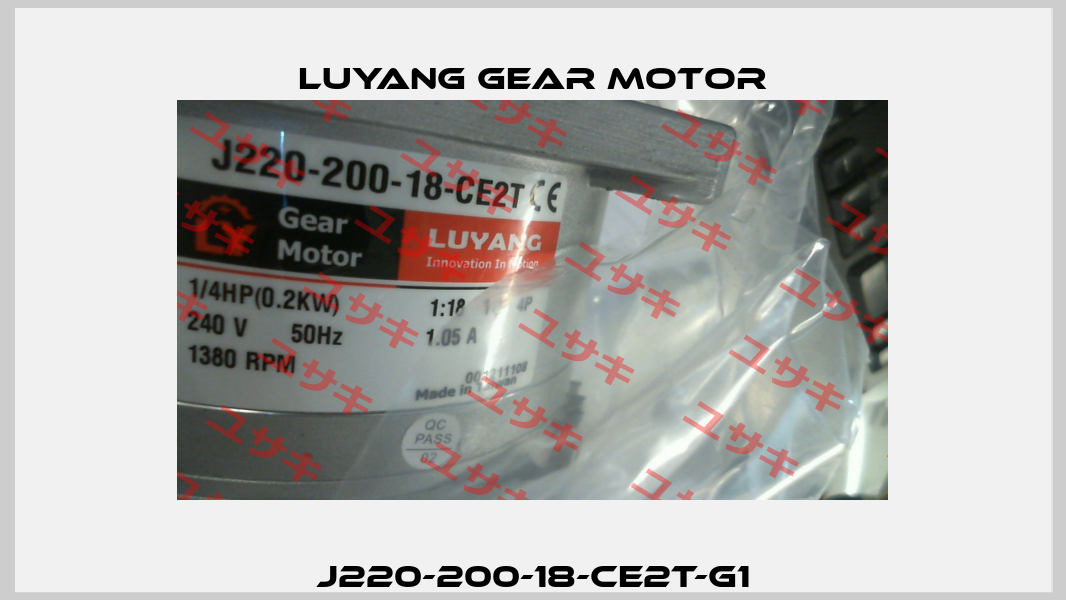 J220-200-18-CE2T-G1 Luyang Gear Motor