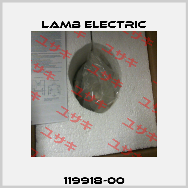 119918-00 Lamb Electric