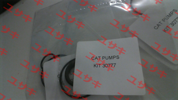 30777 Cat Pumps