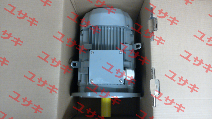 FCPA 132S-6 /PHE AC Motoren