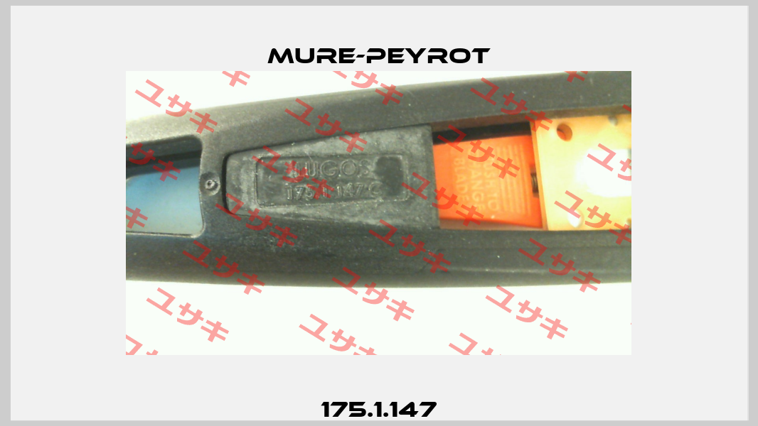 175.1.147 Mure-Peyrot