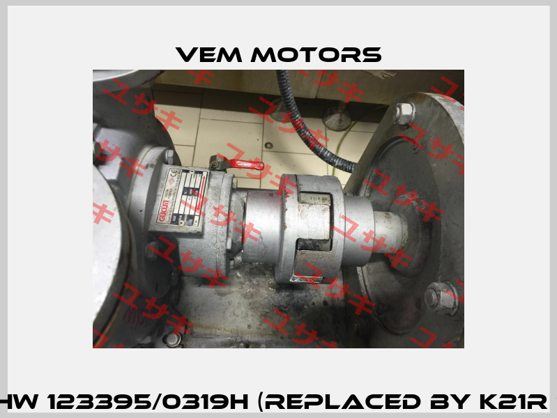 K21R 10DM4TWSHW 123395/0319H (replaced by K21R 160M 4 TPM HW)  Vem Motors