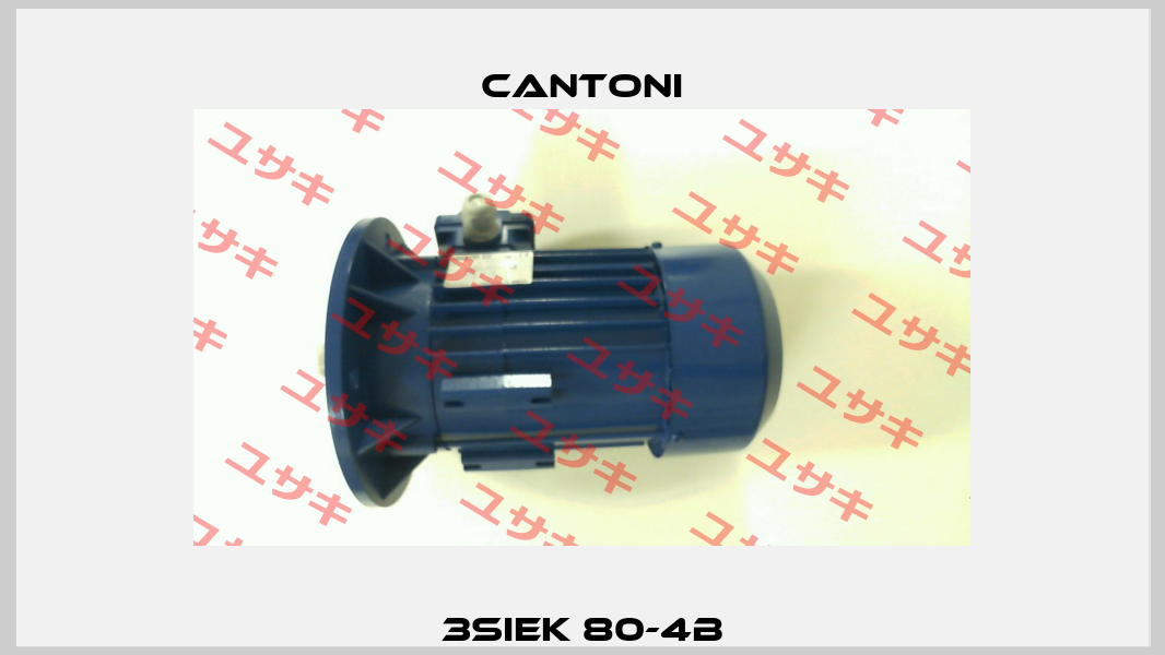 3SIEK 80-4B Cantoni