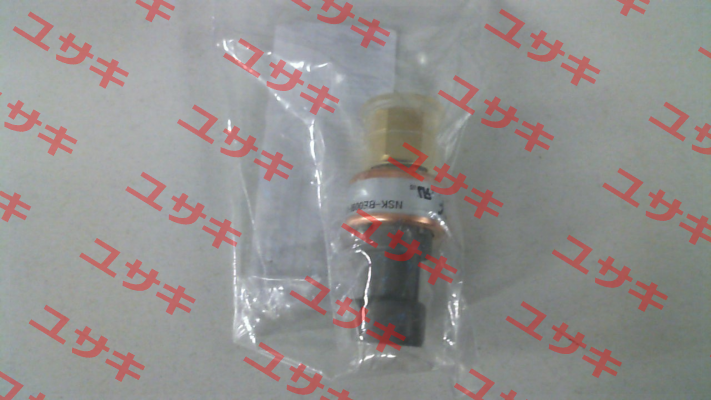 00PPG000012100A Carrier