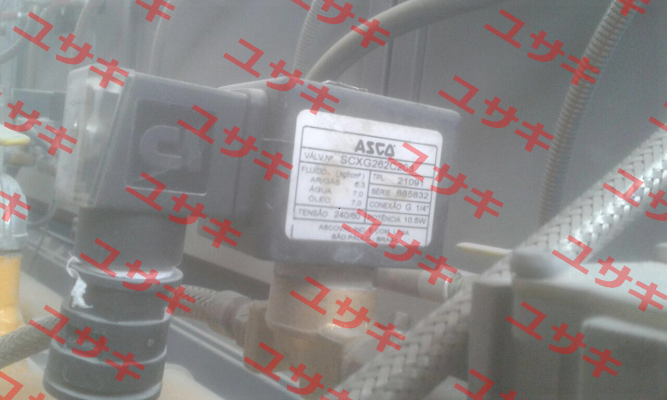 SCXG262C208 Asco