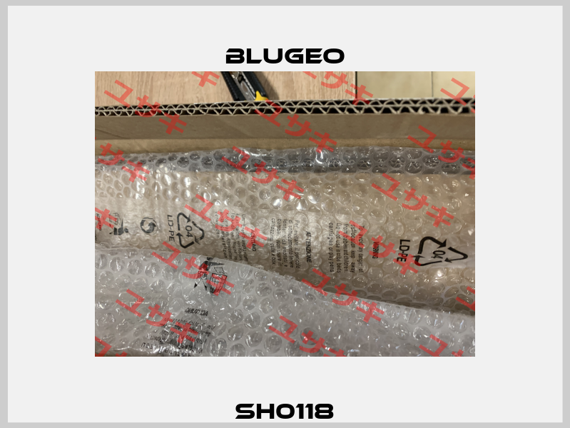 SH0118 Blugeo