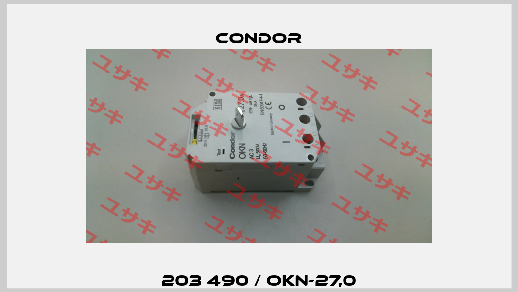 203 490 / OKN-27,0 Condor