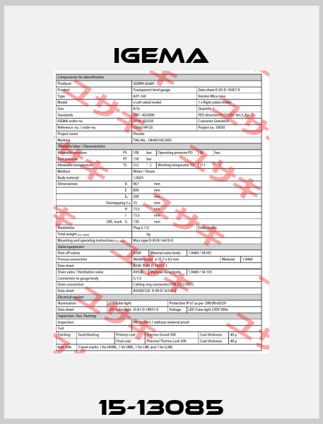 15-13085 Igema