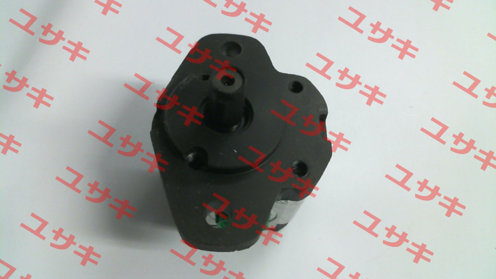 1LO1.5DH09S Roquet pump