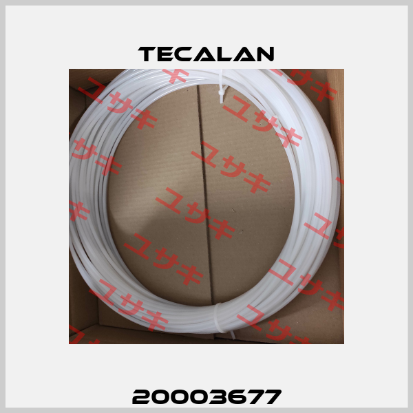 20003677 Tecalan