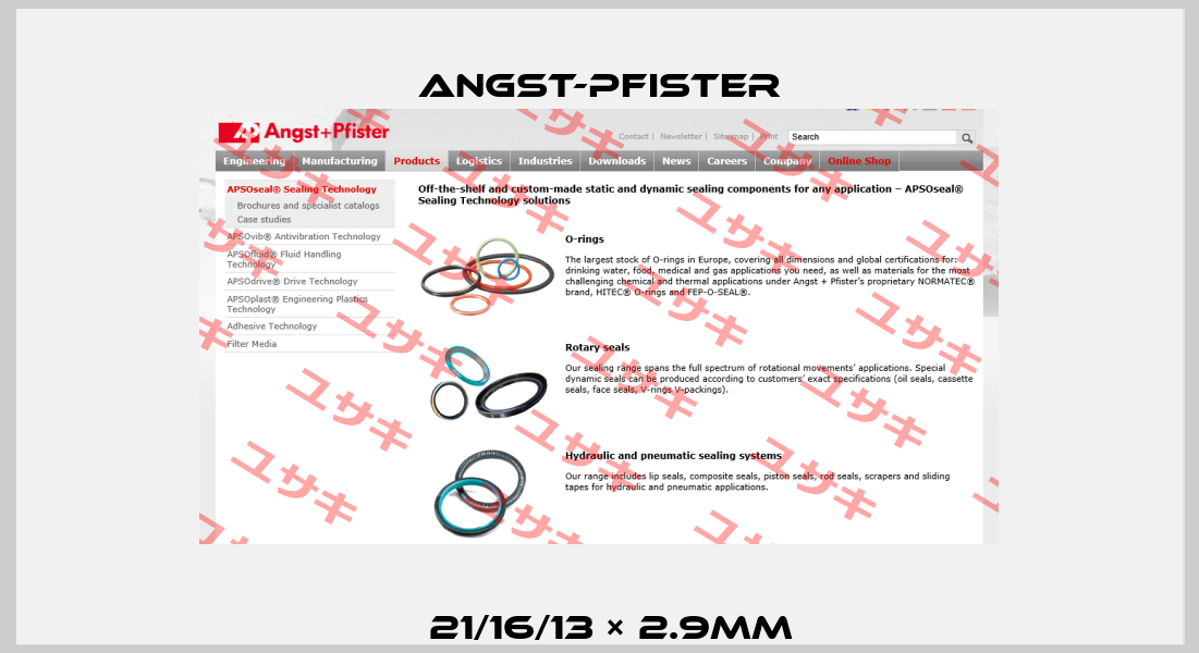 φ21/16/13 × 2.9mm Angst-Pfister