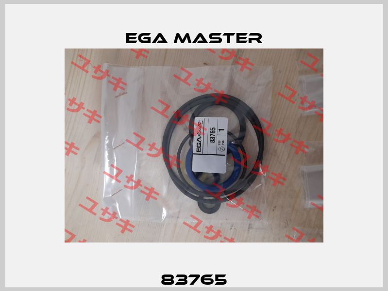 83765 EGA Master