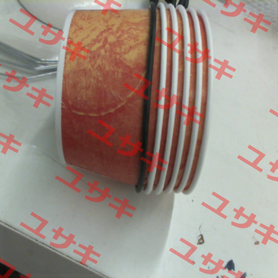 O-Rings Shyodu