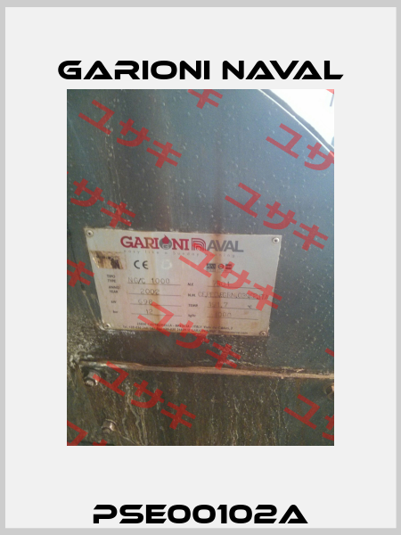 PSE00102A Garioni Naval
