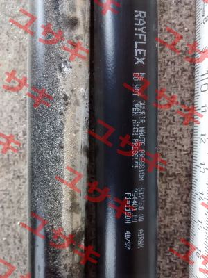 211600541  Rayflex