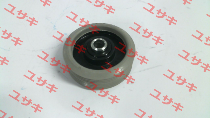 RD-2133 Interroll