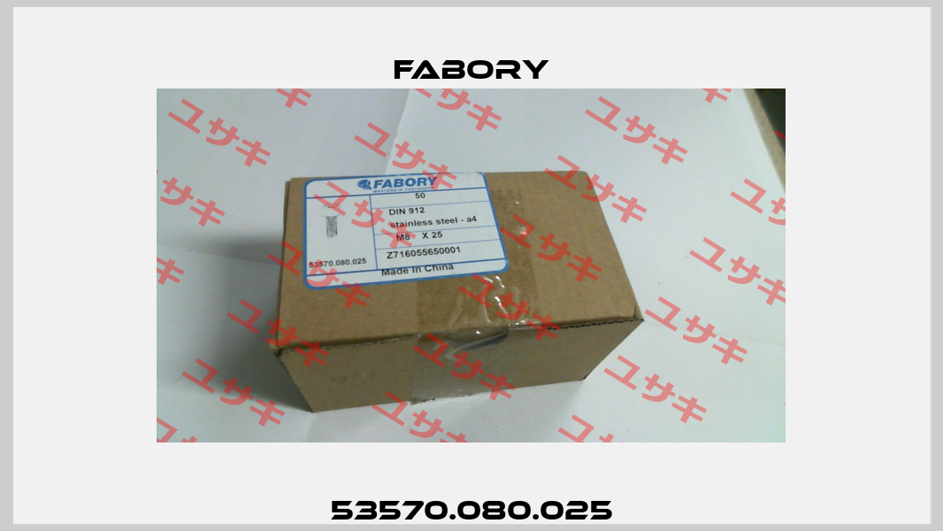 53570.080.025 Fabory