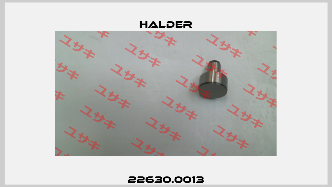 22630.0013 Halder
