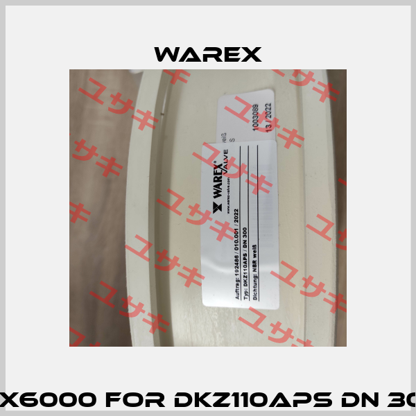 WX6000 for DKZ110APS DN 300 Warex