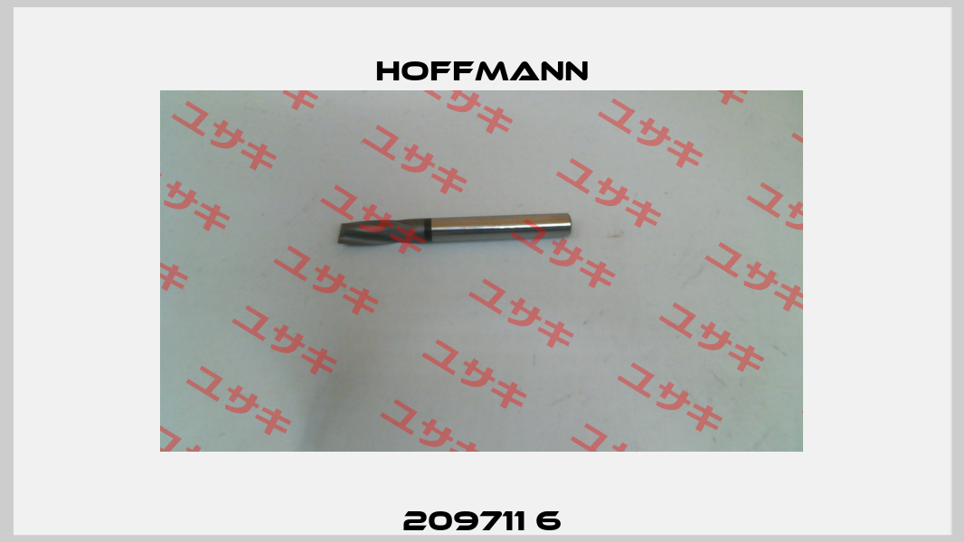 209711 6 Hoffmann