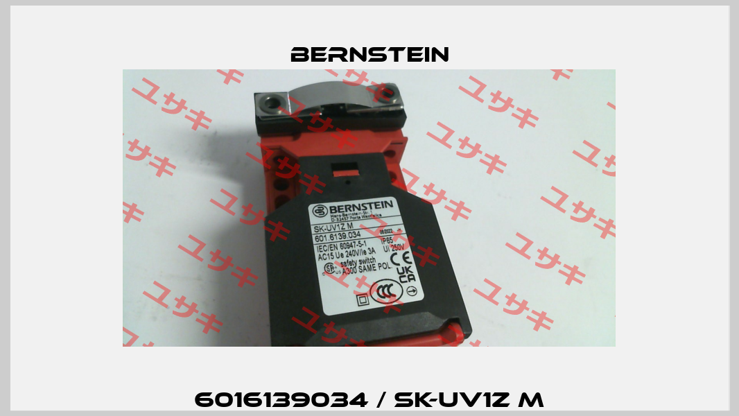 6016139034 / SK-UV1Z M Bernstein