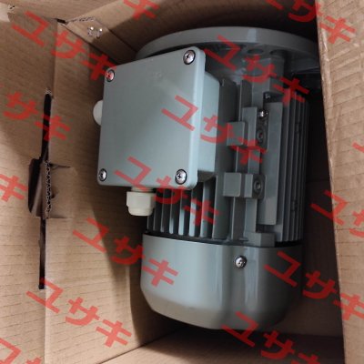 FCA 80 B 2/PHE AC Motoren
