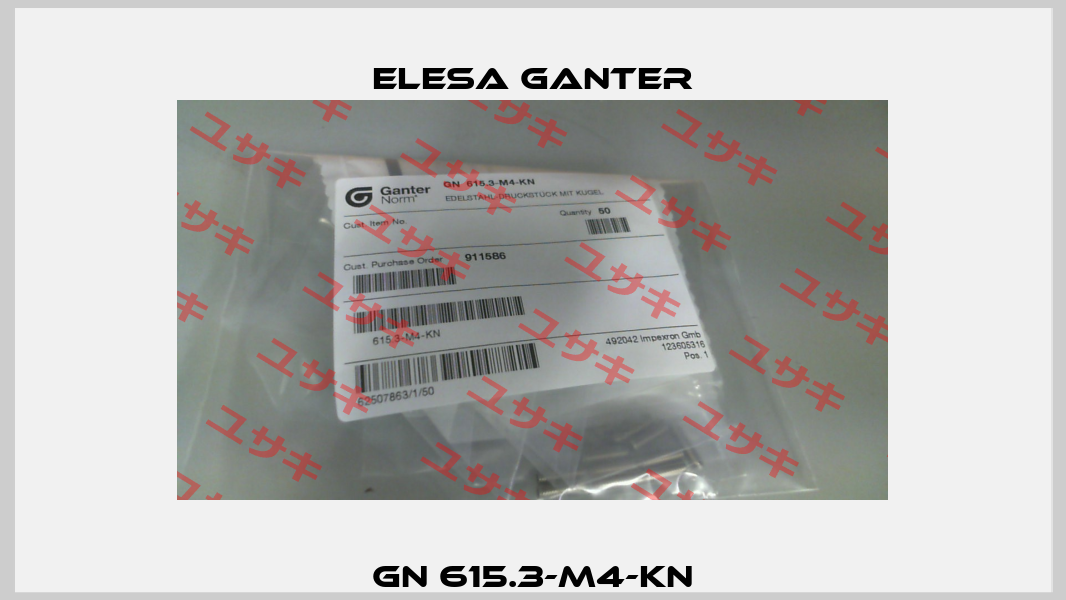 GN 615.3-M4-KN Elesa Ganter