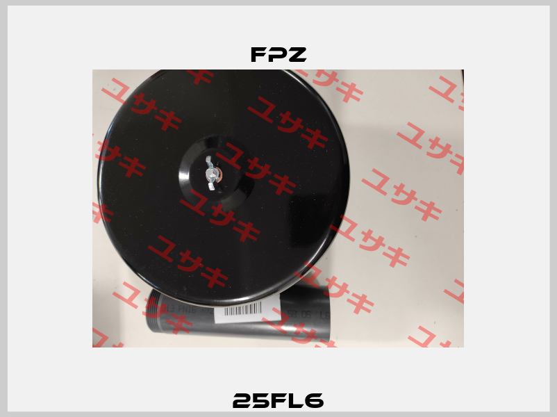25FL6 Fpz