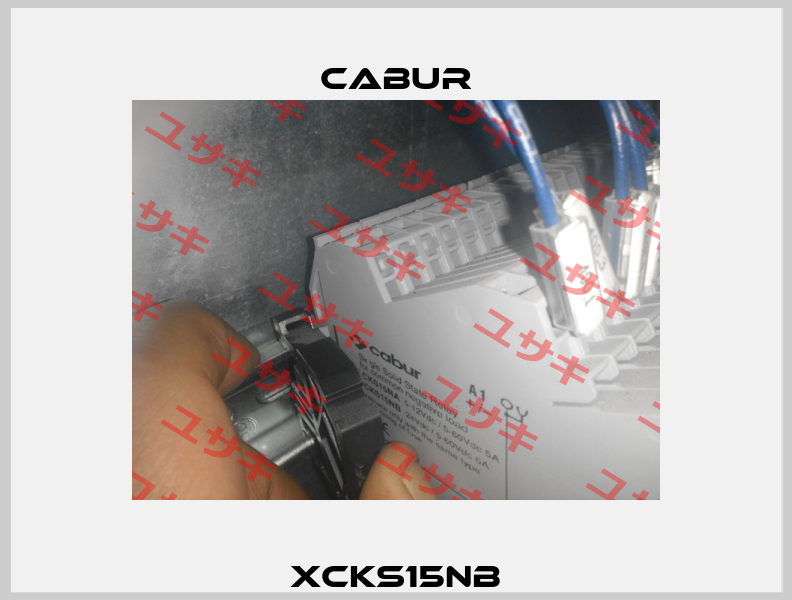 XCKS15NB Cabur
