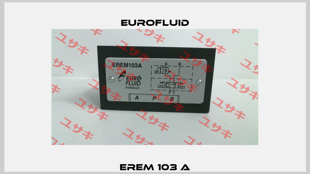EREM 103 A Eurofluid