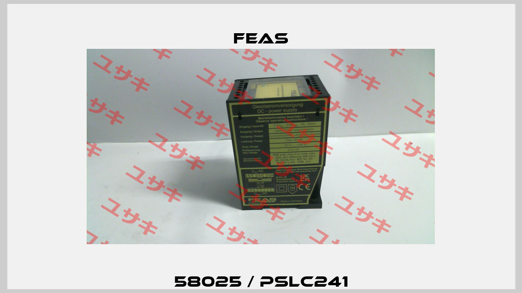 58025 / PSLC241 Feas