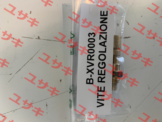 B-XVR0003 Balossi