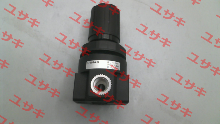 17109A.B Pneumax
