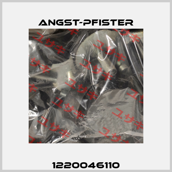 1220046110 Angst-Pfister