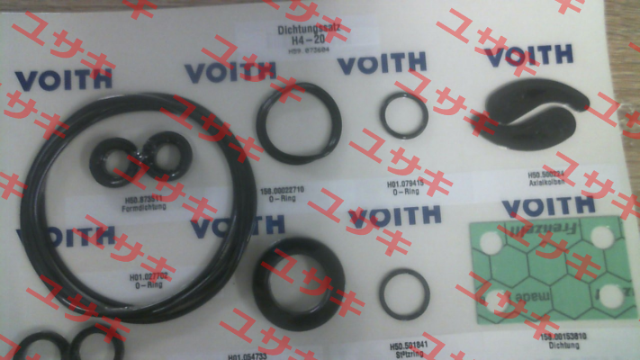seal kit H4-20 Voith